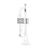 Professional Transparent Standard Plastic Bb Trumpet Set with 3C Mouthpiece 7C Mouthpiece and PU Carrying Bag