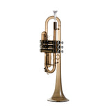 Professional Transparent Lexan Trumpet C Tone with 3C Mouthpiece 7C Mouthpiece and PU Carrying Bag